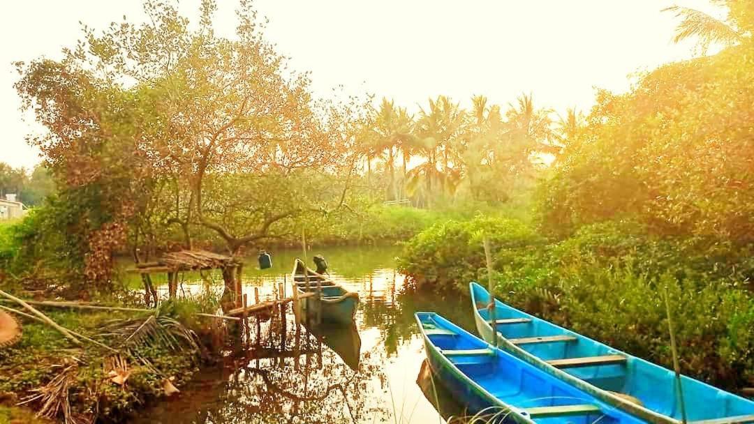 Shruthi'S Aarohi-Nature'S Retreat Mulappilangād Eksteriør bilde