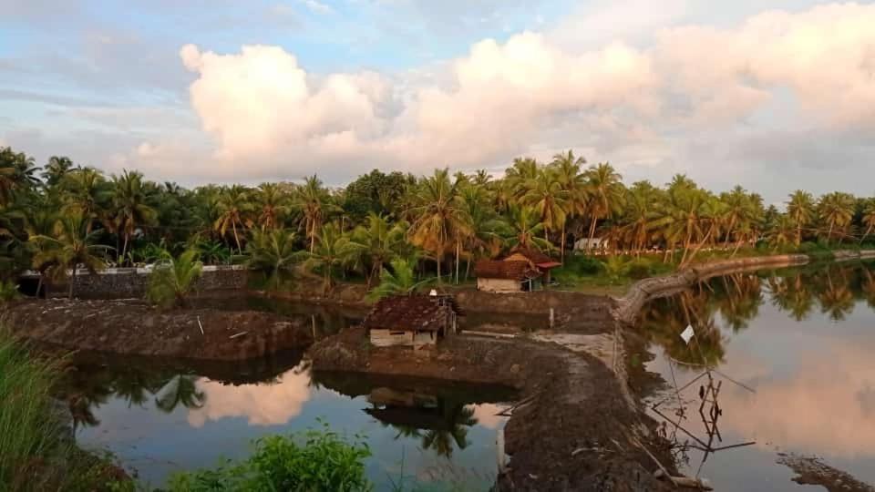 Shruthi'S Aarohi-Nature'S Retreat Mulappilangād Eksteriør bilde