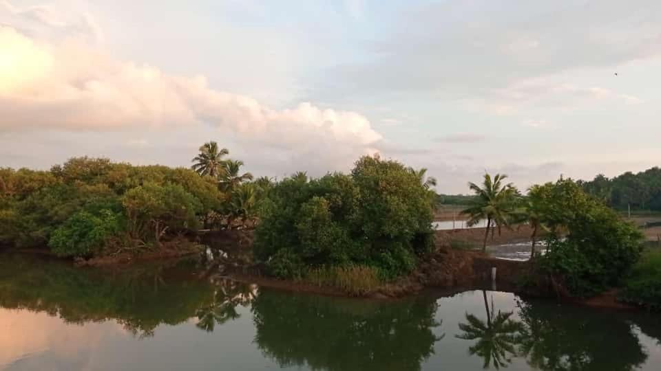 Shruthi'S Aarohi-Nature'S Retreat Mulappilangād Eksteriør bilde